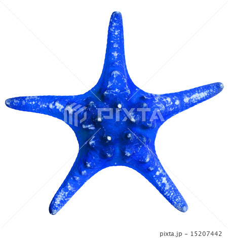 Beautiful starfish isolated on white background 15207442