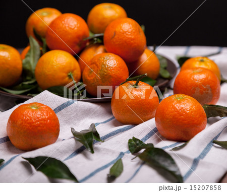 brunch of tangerines brunch of tangerines 15207858