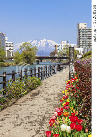 盛岡市 北上川と岩手山 開運橋より の写真素材