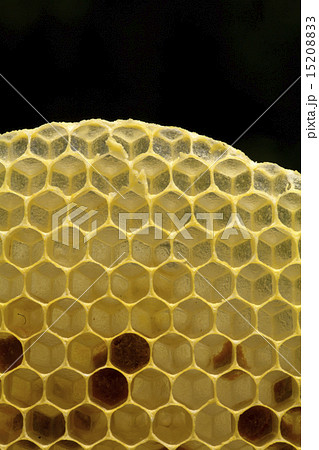 蜂の巣のハニカム構造の写真素材 15