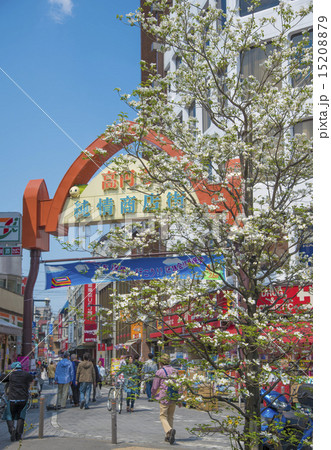 春の高円寺純情商店街(東京都杉並区) 春の高円寺純情商店街(東京都杉並区) 15208879