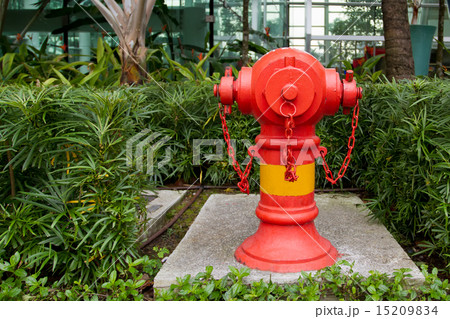 Red fire hydrant in front of green plants in a street 15209834