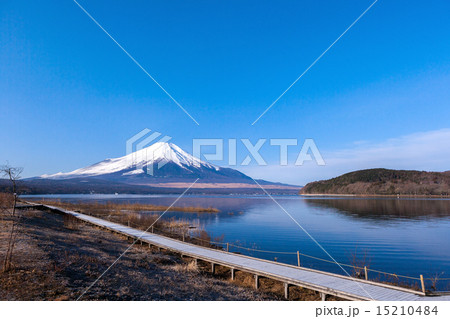 富士山  (1月 山中湖) 15210484
