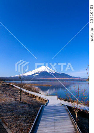富士山  (1月 山中湖) 15210485