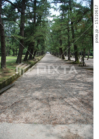 出雲大社の参道(島根県出雲市大社町) 出雲大社の参道(島根県出雲市大社町) 15210617