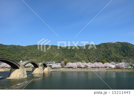 春の錦帯橋 春の錦帯橋 15211445