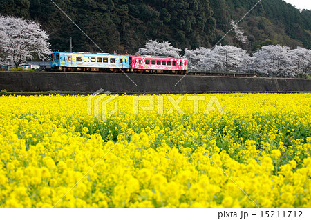 錦川鉄道 15211712