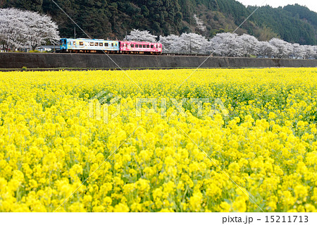 錦川鉄道 錦川鉄道 15211713