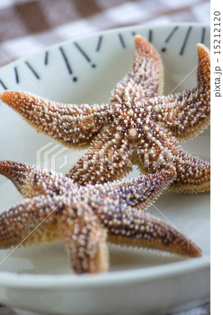 湯がいた食用ヒトデ 15212120