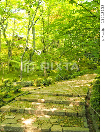 新緑の常寂光寺 新緑の常寂光寺 15212152