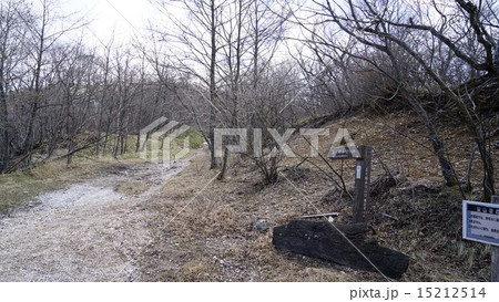 小沼から長七郎山への分岐 15212514