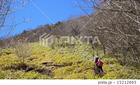 地蔵岳を登る 15212665