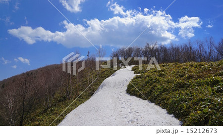 地蔵岳ルート上の残雪 15212673