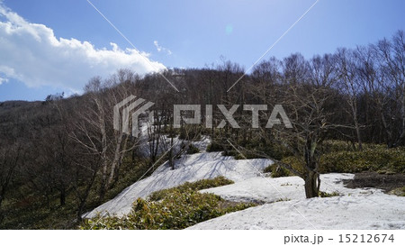 地蔵岳登山道の残雪 15212674