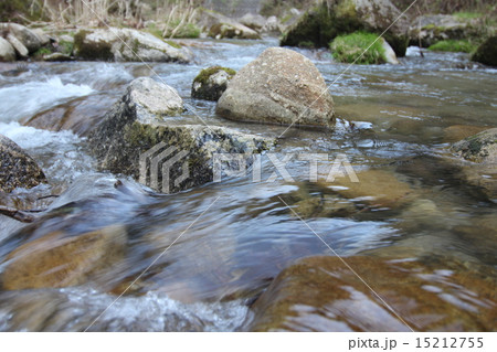 渓流　 15212755