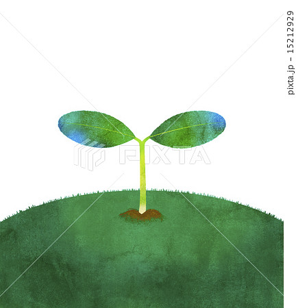 芽吹きのイラスト素材 [15212929] - PIXTA