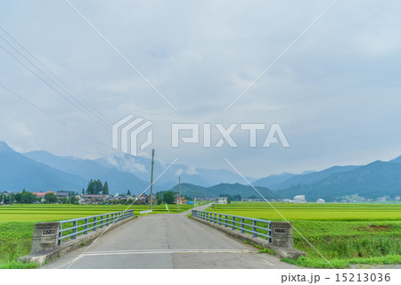 夏の六日町の田園風景 15213036