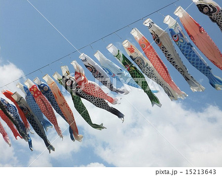 鯉のぼり 鯉のぼり 15213643