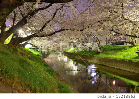 夜の五条川 15213862