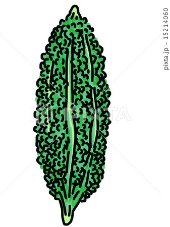 ゴーヤーのイラスト素材