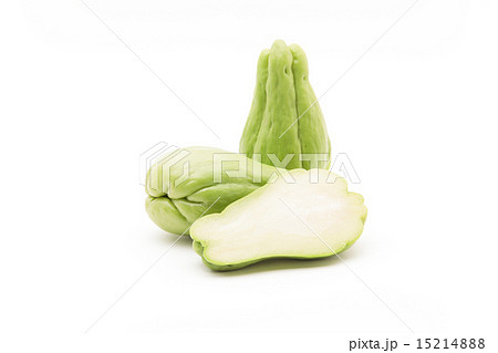 ハヤトウリ 15214888