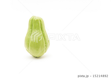 ハヤトウリ 15214892