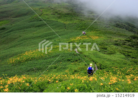 ニッコウキスゲ咲く巻機山 ニッコウキスゲ咲く巻機山 15214919