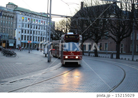 ハーグのトラム オランダ ハーグのトラム オランダ 15215029