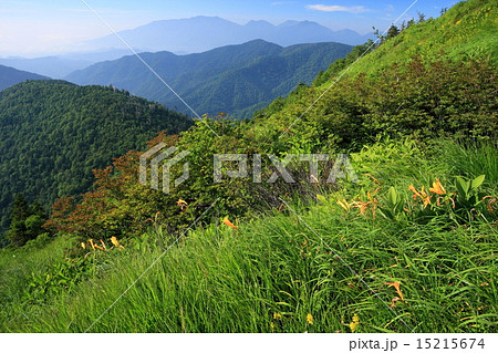 南会津・田代山のニッコウキスゲと日光連山 15215674
