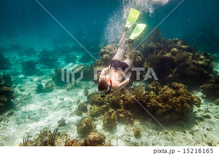Snorkeler Snorkeler 15216165