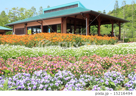 袖ケ浦公園・花のテラス 15216494