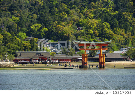 厳島神社4月、新緑 15217052