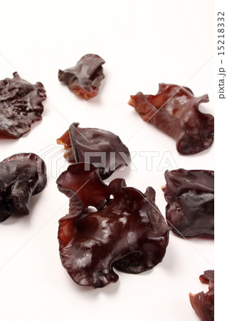 きくらげ 15218332