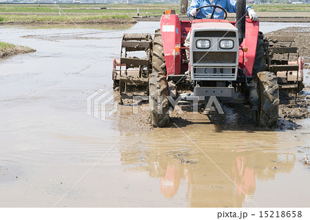 代掻き１ 15218658