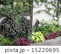 イングリッシュガーデン 15220695