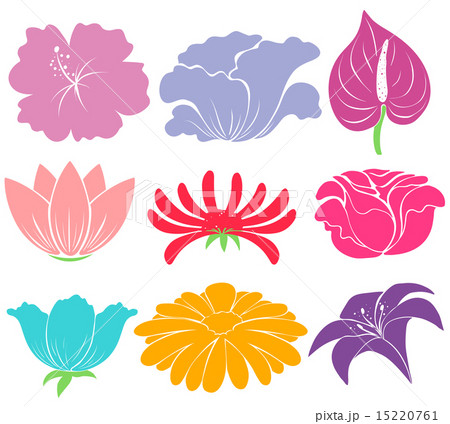 Flowers Flowers 15220761