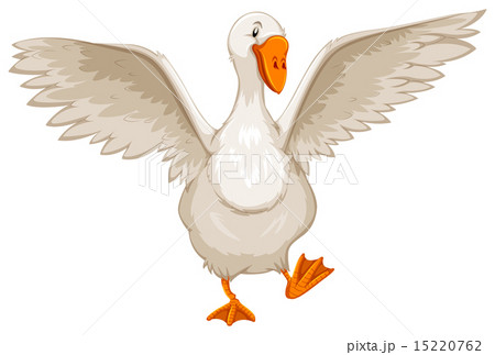 Goose Goose 15220762