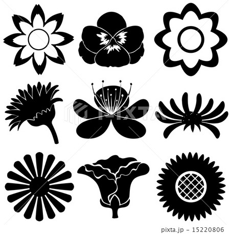 Flowers Flowers 15220806