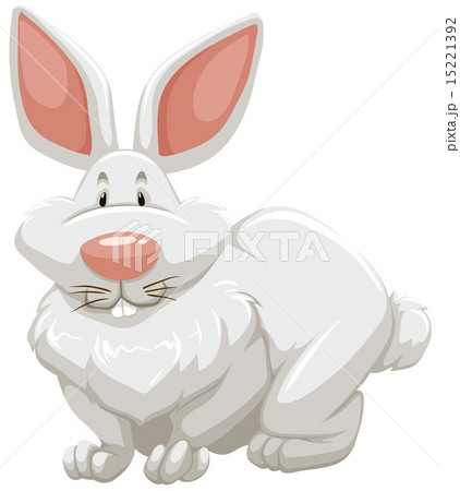 Cute rabbit 15221392
