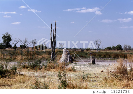 African landscape African landscape 15221758