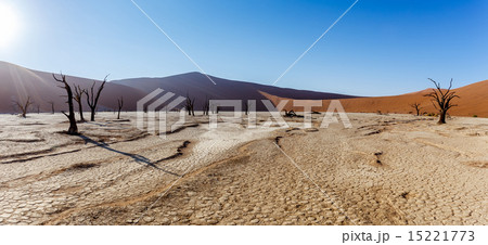 beautiful landscape of Hidden Vlei in Namib desert 15221773