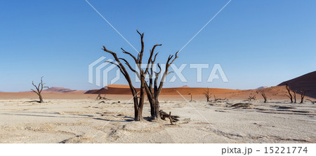 beautiful landscape of Hidden Vlei in Namib desert 15221774