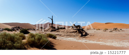 beautiful landscape of Hidden Vlei in Namib desert 15221777