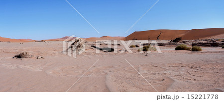 beautiful landscape of Hidden Vlei in Namib desert 15221778