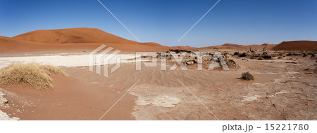 beautiful landscape of Hidden Vlei in Namib desert 15221780