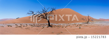 wide panorama Dune 45 in sossusvlei Namibia 15221783