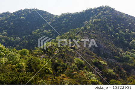 高御位山 山頂までの景観 高御位山 山頂までの景観 15222955