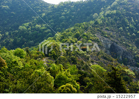 高御位山 登山道と新緑 高御位山 登山道と新緑 15222957