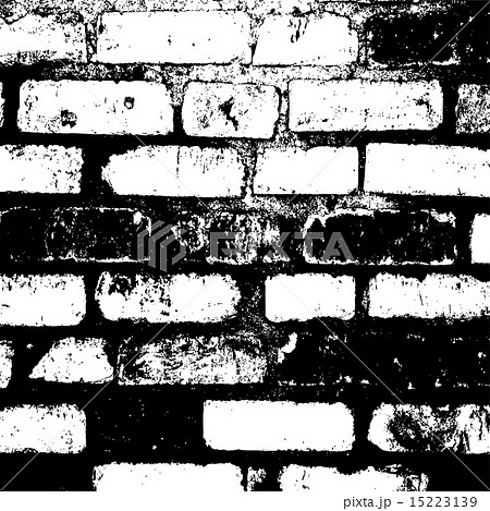 Brick wall of the house Brick wall of the house 15223139