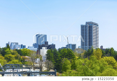 仙台市・仙台市地下鉄東西線高架橋と仙台市全景 仙台市・仙台市地下鉄東西線高架橋と仙台市全景 15223350